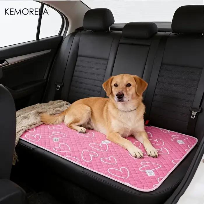 Tapis d'entraînement pour chien