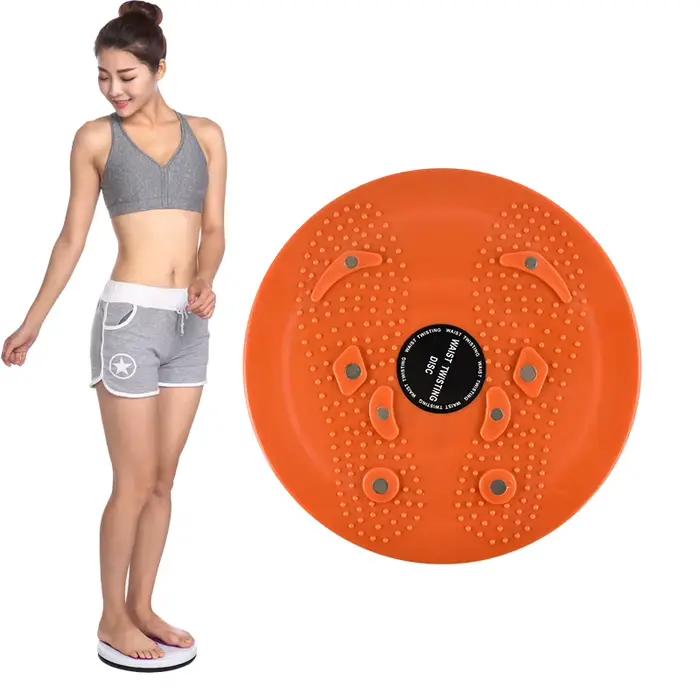 Disque de torsion de taille magnétique