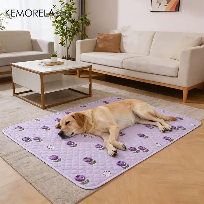 Tapis d'entraînement pour chien