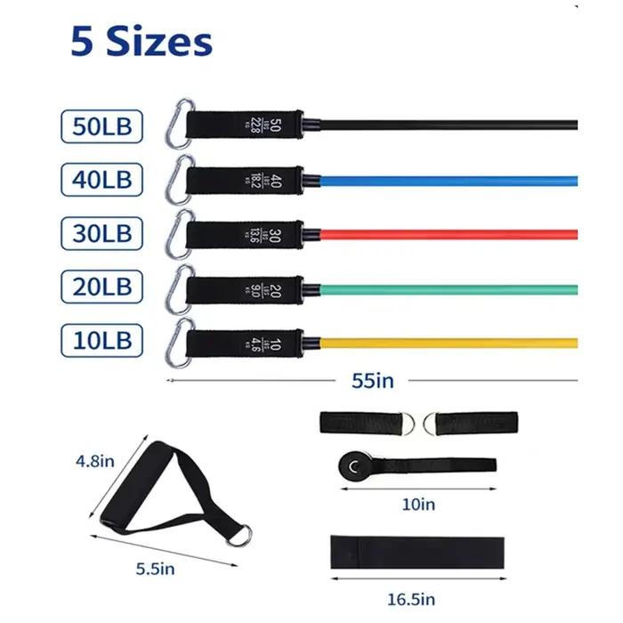 Bandes élastiques de 150 lb
