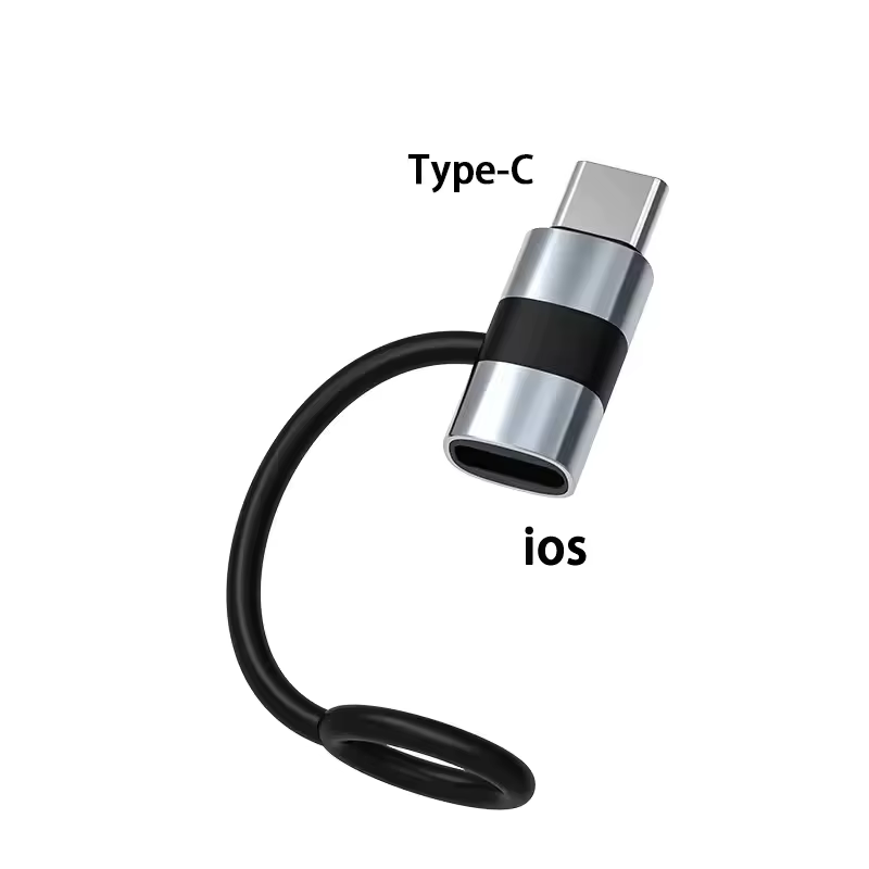 Pour IOS femelle vers USB C mâle convertisseur Type C vers iPhone adaptateur de charge rapide pour i