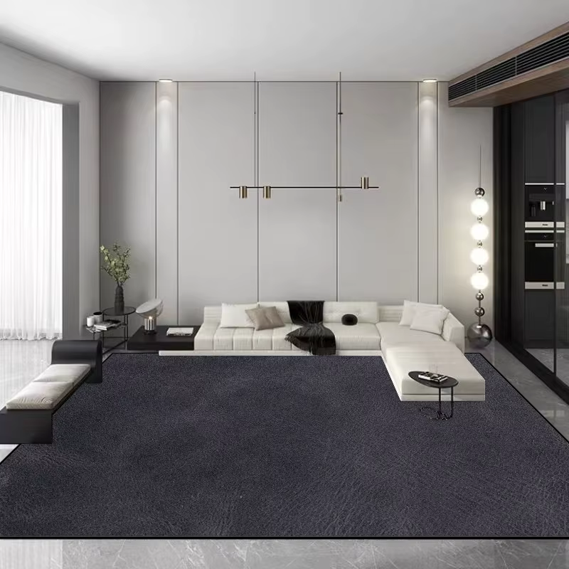 Tapis de salon de luxe léger et minimaliste, couleur unie, décoration de la maison, tapis de chambre